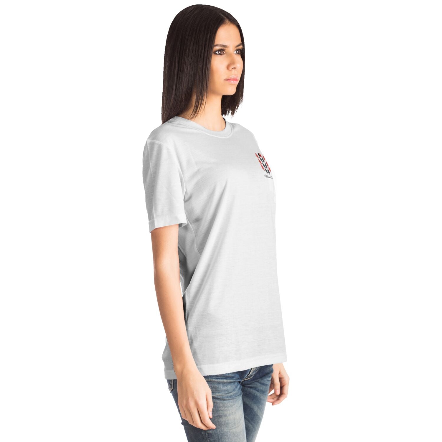 Arapaho Flag T-shirt $NiieihiiNookei